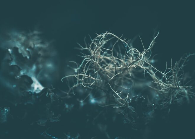 Securing Azure Machine Learning: A Deep Dive into Mitigating Silent Threats and Vulnerabilities in Managed MLOps