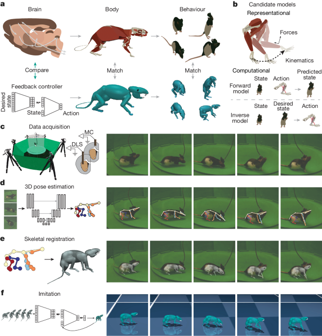 Beyond Static Demos: Building Interactive AI Animations with Gradio