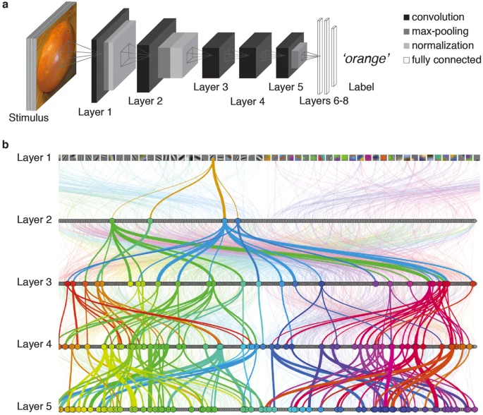 neural network visualization - How to Visualize Deep Learning Models