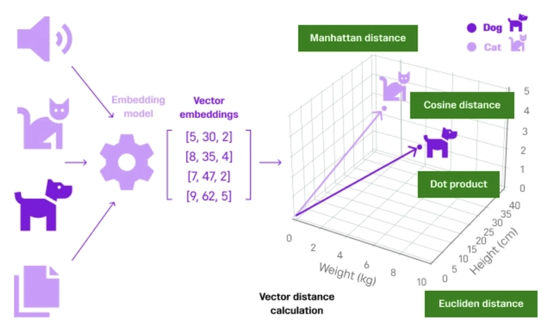 vector similarity search visualization - What is Vector Similarity Search? - DEV Community