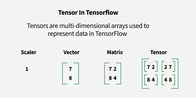 TensorFlow tensors - Introduction to Tensor with Tensorflow | GeeksforGeeks