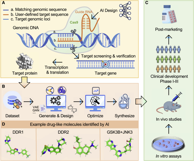 AI drug discovery molecular model - Deep generative molecular design reshapes drug discovery ...