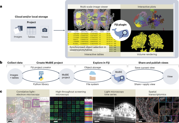 Modal platform interface - MoBIE: a Fiji plugin for sharing and exploration of multi-modal ...